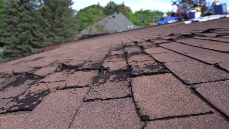 Best Gutter Installation and Repair  in Riverdale, GA