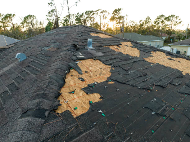 Best Solar Panel Roofing Installation  in Riverdale, GA